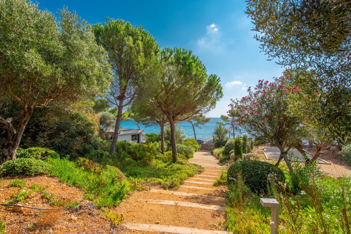 Allée d’une villa gérée à La Croix-Valmer, entre oliviers, pins parasols et lauriers-roses, jusqu’à la mer
